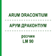 АРУМ ДРАКОНТИУМ (ARUM DRACONTIUM) LM 90 раствор 10 мл - Гомеопатия ARCANA DR.SEWERIN