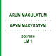 АРУМ МАКУЛАТУМ (ARUM MACULATUM) LM 1 розчин 10 мл - Гомеопатія ARCANA DR.SEWERIN