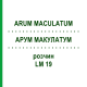 АРУМ МАКУЛАТУМ (ARUM MACULATUM) LM 19 розчин 10 мл - Гомеопатія ARCANA DR.SEWERIN