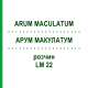 АРУМ МАКУЛАТУМ (ARUM MACULATUM) LM 22 розчин 10 мл - Гомеопатія ARCANA DR.SEWERIN