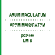 АРУМ МАКУЛАТУМ (ARUM MACULATUM) LM 6 розчин 10 мл - Гомеопатія ARCANA DR.SEWERIN