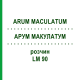 АРУМ МАКУЛАТУМ (ARUM MACULATUM) LM 90 розчин 10 мл - Гомеопатія ARCANA DR.SEWERIN