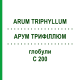 АРУМ ТРИФИЛЛЮМ (ARUM TRIPHYLLUM) C 200 глобули 10 г - Гомеопатия DHU