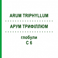 АРУМ ТРИФИЛЛЮМ (ARUM TRIPHYLLUM) C 6 глобули 10 г - Гомеопатия DHU