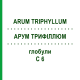 АРУМ ТРИФИЛЛЮМ (ARUM TRIPHYLLUM) C 6 глобули 10 г - Гомеопатия DHU
