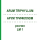 АРУМ ТРИФИЛЛЮМ (ARUM TRIPHYLLUM) LM 1 раствор 10 мл - Гомеопатия ARCANA DR.SEWERIN