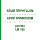 АРУМ ТРИФИЛЛЮМ (ARUM TRIPHYLLUM) LM 100 раствор 10 мл - Гомеопатия ARCANA DR.SEWERIN