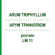 АРУМ ТРИФИЛЛЮМ (ARUM TRIPHYLLUM) LM 11 раствор 10 мл - Гомеопатия ARCANA DR.SEWERIN