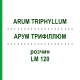 АРУМ ТРИФИЛЛЮМ (ARUM TRIPHYLLUM) LM 120 раствор 10 мл - Гомеопатия ARCANA DR.SEWERIN