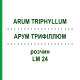 АРУМ ТРИФИЛЛЮМ (ARUM TRIPHYLLUM) LM 24 раствор 10 мл - Гомеопатия ARCANA DR.SEWERIN