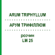 АРУМ ТРИФИЛЛЮМ (ARUM TRIPHYLLUM) LM 25 раствор 10 мл - Гомеопатия ARCANA DR.SEWERIN
