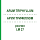 АРУМ ТРИФИЛЛЮМ (ARUM TRIPHYLLUM) LM 27 раствор 10 мл - Гомеопатия ARCANA DR.SEWERIN