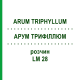 АРУМ ТРИФИЛЛЮМ (ARUM TRIPHYLLUM) LM 28 раствор 10 мл - Гомеопатия ARCANA DR.SEWERIN