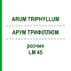 АРУМ ТРИФИЛЛЮМ (ARUM TRIPHYLLUM) LM 45 раствор 10 мл - Гомеопатия ARCANA DR.SEWERIN