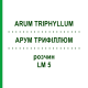 АРУМ ТРИФИЛЛЮМ (ARUM TRIPHYLLUM) LM 5 раствор 10 мл - Гомеопатия ARCANA DR.SEWERIN