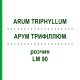 АРУМ ТРИФИЛЛЮМ (ARUM TRIPHYLLUM) LM 90 раствор 10 мл - Гомеопатия ARCANA DR.SEWERIN