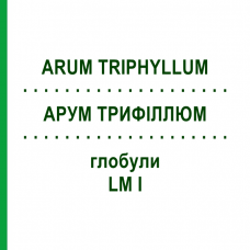 АРУМ ТРИФИЛЛЮМ (ARUM TRIPHYLLUM) LM I глобули 5 г - Гомеопатия DHU