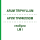 АРУМ ТРИФИЛЛЮМ (ARUM TRIPHYLLUM) LM I глобули 5 г - Гомеопатия DHU