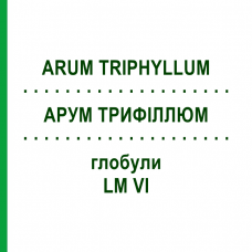 АРУМ ТРИФИЛЛЮМ (ARUM TRIPHYLLUM) LM VI глобули 5 г - Гомеопатия DHU