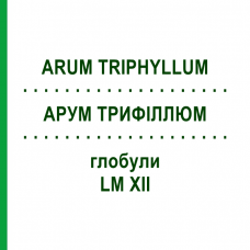 АРУМ ТРИФИЛЛЮМ (ARUM TRIPHYLLUM) LM XII глобули 5 г - Гомеопатия DHU