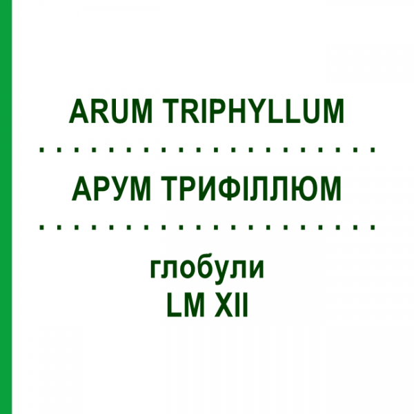 АРУМ ТРИФИЛЛЮМ (ARUM TRIPHYLLUM) LM XII глобули 5 г - Гомеопатия DHU