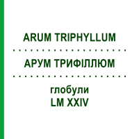 АРУМ ТРИФІЛЛЮМ (ARUM TRIPHYLLUM) LM XXIV глобули 5 г - Гомеопатія DHU