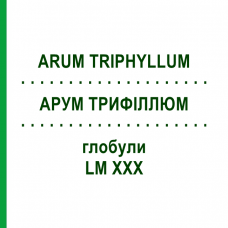 АРУМ ТРИФИЛЛЮМ (ARUM TRIPHYLLUM) LM XXX глобули 5 г - Гомеопатия DHU
