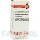 АРУНДО (ARUNDO) D 4 глобули 10 г - Гомеопатия DHU