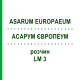 АСАРУМ ЕВРОПЕУМ (ASARUM EUROPAEUM) LM 3 раствор 10 мл - Гомеопатия ARCANA DR.SEWERIN