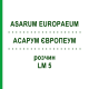 АСАРУМ ЕВРОПЕУМ (ASARUM EUROPAEUM) LM 5 раствор 10 мл - Гомеопатия ARCANA DR.SEWERIN