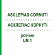 АСКЛЕПІАС КОРНУТІ (ASCLEPIAS CORNUTI) LM 1 розчин 10 мл - Гомеопатія ARCANA DR.SEWERIN