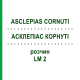 АСКЛЕПИАС КОРНУТИ (ASCLEPIAS CORNUTI) LM 2 раствор 10 мл - Гомеопатия ARCANA DR.SEWERIN