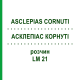АСКЛЕПИАС КОРНУТИ (ASCLEPIAS CORNUTI) LM 21 раствор 10 мл - Гомеопатия ARCANA DR.SEWERIN