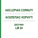 АСКЛЕПИАС КОРНУТИ (ASCLEPIAS CORNUTI) LM 24 раствор 10 мл - Гомеопатия ARCANA DR.SEWERIN