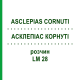 АСКЛЕПИАС КОРНУТИ (ASCLEPIAS CORNUTI) LM 28 раствор 10 мл - Гомеопатия ARCANA DR.SEWERIN
