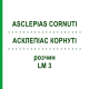 АСКЛЕПИАС КОРНУТИ (ASCLEPIAS CORNUTI) LM 3 раствор 10 мл - Гомеопатия ARCANA DR.SEWERIN