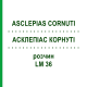 АСКЛЕПИАС КОРНУТИ (ASCLEPIAS CORNUTI) LM 36 раствор 10 мл - Гомеопатия ARCANA DR.SEWERIN
