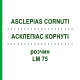 АСКЛЕПИАС КОРНУТИ (ASCLEPIAS CORNUTI) LM 75 раствор 10 мл - Гомеопатия ARCANA DR.SEWERIN