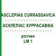 АСКЛЕПИАС КУРРАСАВИКА (ASCLEPIAS CURRASSAVICA) LM 1 раствор 10 мл - Гомеопатия ARCANA DR.SEWERIN