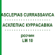 АСКЛЕПИАС КУРРАСАВИКА (ASCLEPIAS CURRASSAVICA) LM 10 раствор 10 мл - Гомеопатия ARCANA DR.SEWERIN