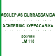 АСКЛЕПИАС КУРРАСАВИКА (ASCLEPIAS CURRASSAVICA) LM 110 раствор 10 мл - Гомеопатия ARCANA DR.SEWERIN