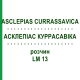АСКЛЕПИАС КУРРАСАВИКА (ASCLEPIAS CURRASSAVICA) LM 13 раствор 10 мл - Гомеопатия ARCANA DR.SEWERIN