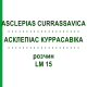 АСКЛЕПИАС КУРРАСАВИКА (ASCLEPIAS CURRASSAVICA) LM 15 раствор 10 мл - Гомеопатия ARCANA DR.SEWERIN