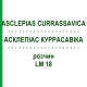 АСКЛЕПИАС КУРРАСАВИКА (ASCLEPIAS CURRASSAVICA) LM 18 раствор 10 мл - Гомеопатия ARCANA DR.SEWERIN