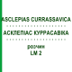 АСКЛЕПИАС КУРРАСАВИКА (ASCLEPIAS CURRASSAVICA) LM 2 раствор 10 мл - Гомеопатия ARCANA DR.SEWERIN