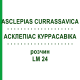АСКЛЕПИАС КУРРАСАВИКА (ASCLEPIAS CURRASSAVICA) LM 24 раствор 10 мл - Гомеопатия ARCANA DR.SEWERIN