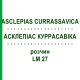 АСКЛЕПИАС КУРРАСАВИКА (ASCLEPIAS CURRASSAVICA) LM 27 раствор 10 мл - Гомеопатия ARCANA DR.SEWERIN