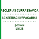 АСКЛЕПИАС КУРРАСАВИКА (ASCLEPIAS CURRASSAVICA) LM 28 раствор 10 мл - Гомеопатия ARCANA DR.SEWERIN