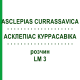 АСКЛЕПИАС КУРРАСАВИКА (ASCLEPIAS CURRASSAVICA) LM 3 раствор 10 мл - Гомеопатия ARCANA DR.SEWERIN