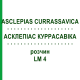 АСКЛЕПИАС КУРРАСАВИКА (ASCLEPIAS CURRASSAVICA) LM 4 раствор 10 мл - Гомеопатия ARCANA DR.SEWERIN